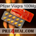 Pfizer Viagra 100Mg new01